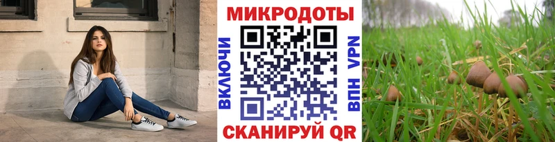 дарк нет клад  Кудрово  Псилоцибиновые грибы Magic Shrooms 